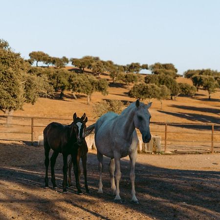 Herdade Da Caniceira Ervedal Luaran gambar