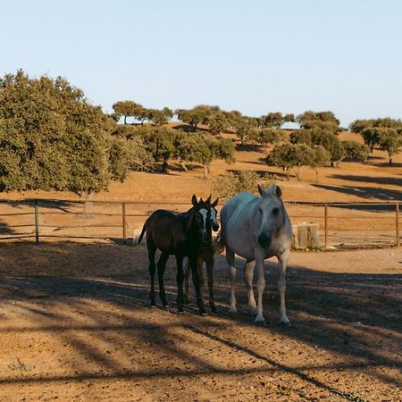 Herdade Da Caniceira Ervedal Luaran gambar