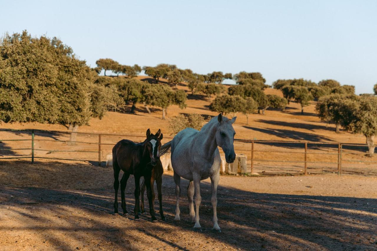 Herdade Da Caniceira Ervedal Luaran gambar