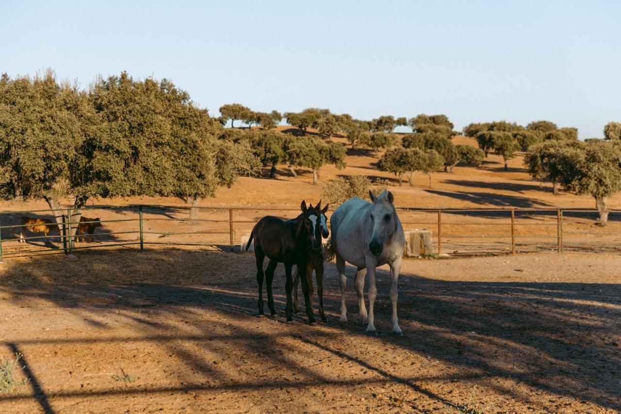Herdade Da Caniceira Ervedal Luaran gambar